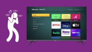 Hisense TV No Sound or Muffled Sound