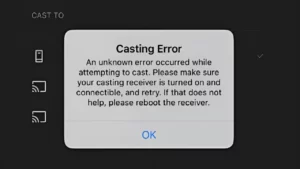 Oculus Quest 2 Casting Error